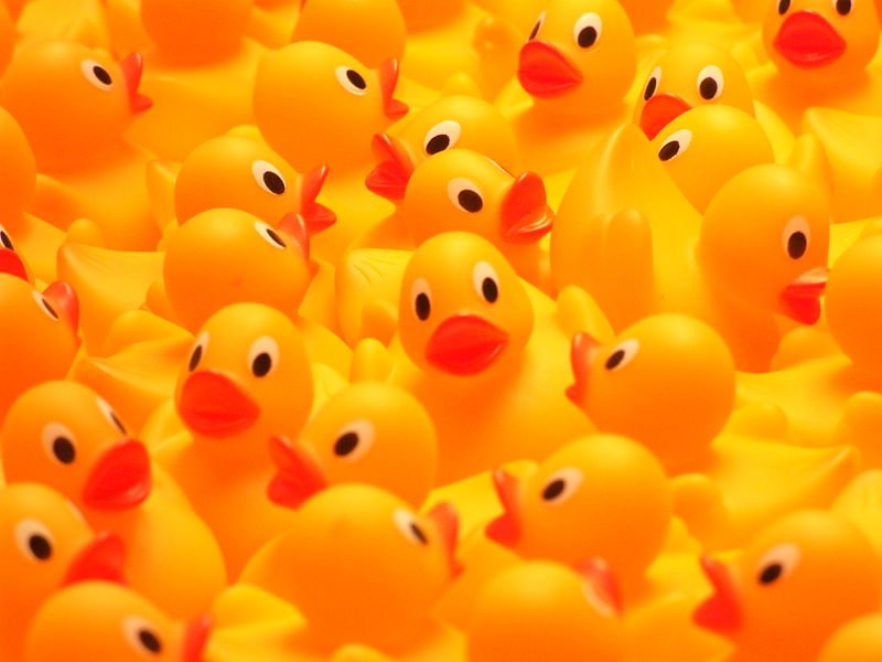 Rubber Ducky Party Favors 