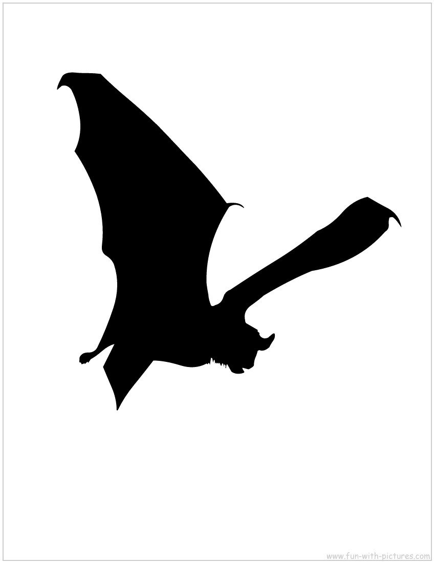 bat silhouette