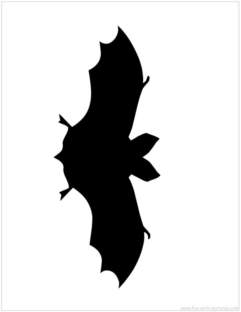 bat silhouette