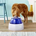 Dogit Fresh & Clear Elevated Dog Water Dispenser, Automatic Drinking Water Fountain for Large Dogs with Purifying Filter, 10.5L Capacity  73651