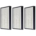 Nispira HEPA Filter Replacement Compatible with Coway Air Purifier AP-1012GH