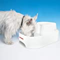 Dog Mate Large Fresh Water Drinking Fountain For Dogs And Cats 385 200 fluid ounce