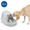  Cat and Dog Water Fountain - Platinum,  168 oz PWW00-13703