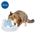 Cat and Dog Original Pet Drinking Fountain 50Oz FWB-RE