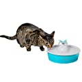 Cat and Dog Water Fountain 50Oz PWW00-16928