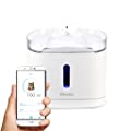 Pawbo Spring Smart Pet Ultra-Silent Water Fountain 3L