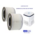 PUREBURG 2-Pack Replacement Filters Compatible with Membrane Solutions MSB3 
