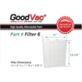 GoodVac Replacement HEPA Air Filter with Odor Absorber 2 Pack