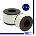 PUREBURG 2-Pack Replacement HEPA Filters Compatible with PARTU BS-03