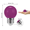 Bluex 4 Pack G14 LED Purple Light Bulb 1W