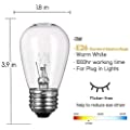 S14 Incandescent Edison Light Bulbs - 11W  with E26 Medium Screw‐Base