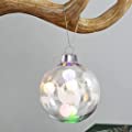 Wenosda Clear Plastic Acrylic Fillable Ball Ornament Set 