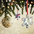 Hooami Sublimation Blanks 10 Pieces Snowflake Christmas Ornaments