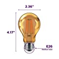 Philips LED 538215 A19 Orange Party Bulbs