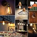 WAWUI Edison LED Light Bulbs, Amber, Dimmable, 4W, 2700K, E26 Medium Base, 500LM, Warm White ST64