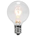 25 Pack Clear G40 Globe Light Bulbs for Patio String Lights Fits E12 and C7 Base 5 Watt 
