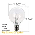 G40 Replacement Light Bulbs for Outdoor Patio Decor, Pack of 25