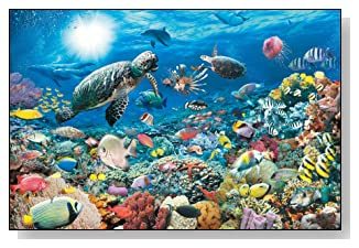 Ravensburger Beneath the Sea - 5000 Piece Puzzle